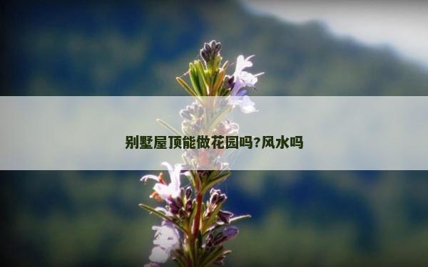 别墅屋顶能做花园吗?风水吗