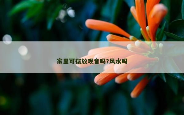 家里可摆放观音吗?风水吗