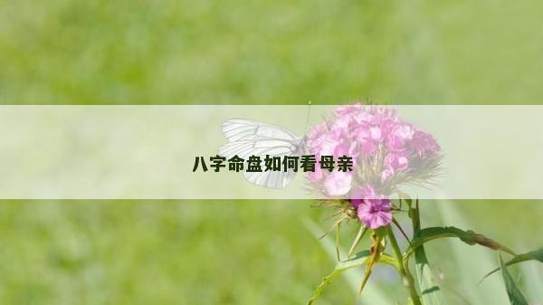 八字命盘如何看母亲
