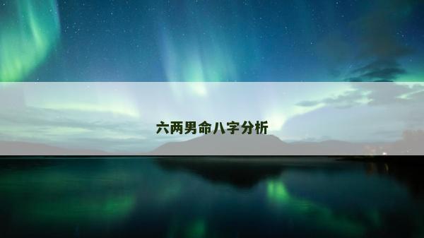 六两男命八字分析