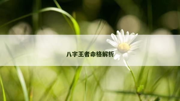 八字王者命格解析