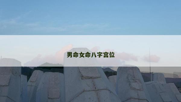 男命女命八字宫位