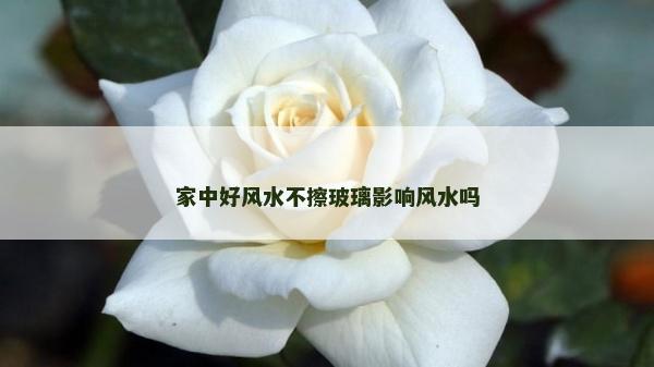 家中好风水不擦玻璃影响风水吗