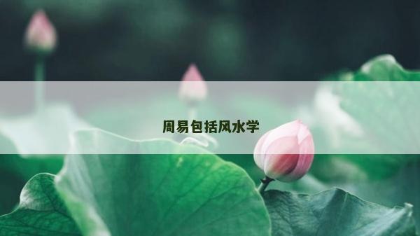 周易包括风水学