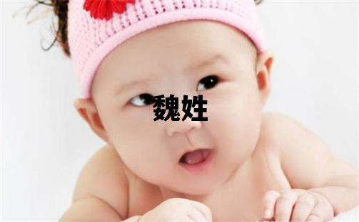 魏姓有创意的男孩名字
