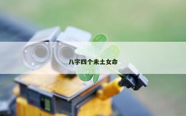 八字四个未土女命