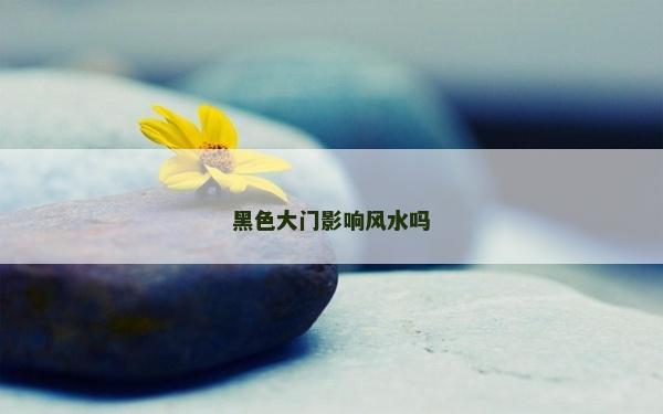 黑色大门影响风水吗