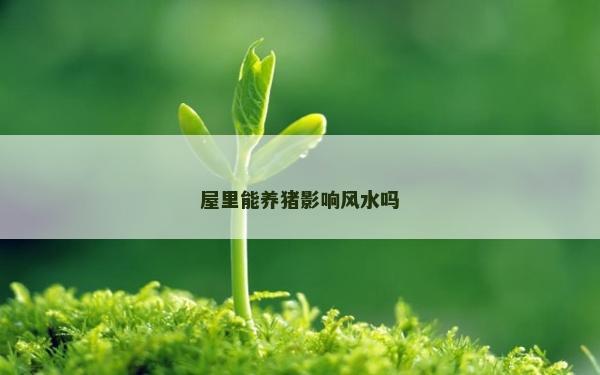 屋里能养猪影响风水吗