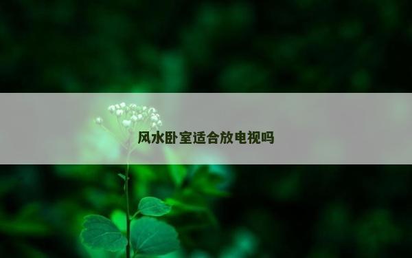 风水卧室适合放电视吗