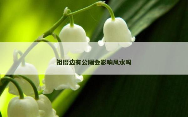 祖厝边有公厕会影响风水吗