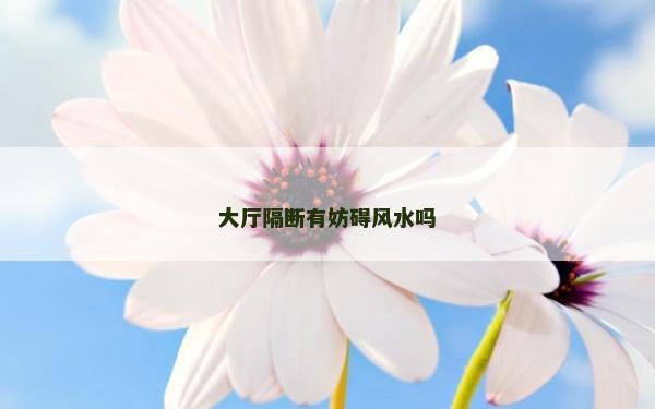 大厅隔断有妨碍风水吗