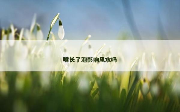 嘴长了泡影响风水吗
