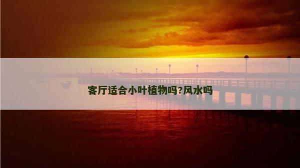客厅适合小叶植物吗?风水吗