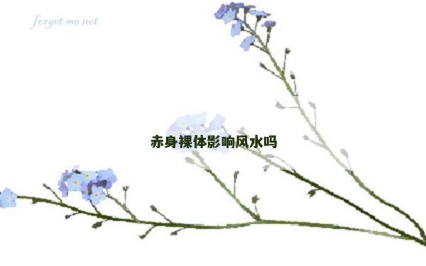 赤身裸体影响风水吗
