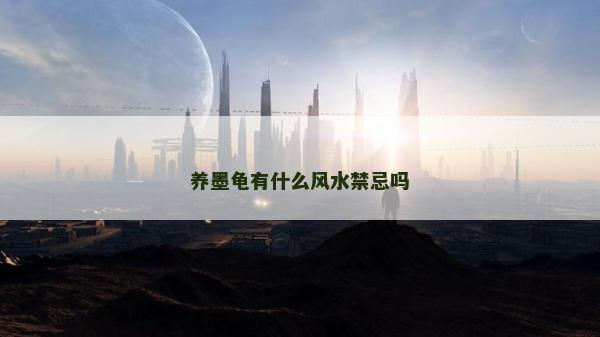 养墨龟有什么风水禁忌吗