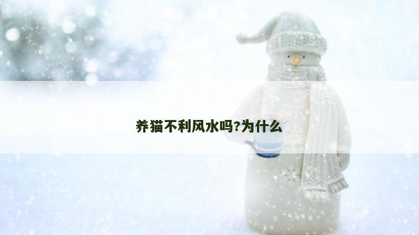 养猫不利风水吗?为什么