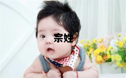 宗姓大气文雅的男宝宝名字