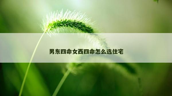 男东四命女西四命怎么选住宅