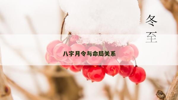 八字月令与命局关系