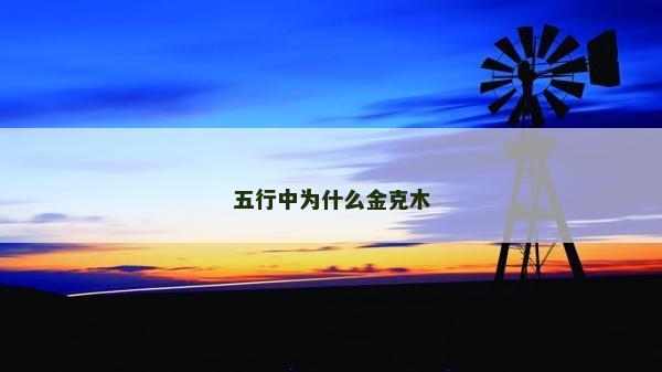 五行中为什么金克木