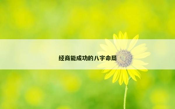经商能成功的八字命局