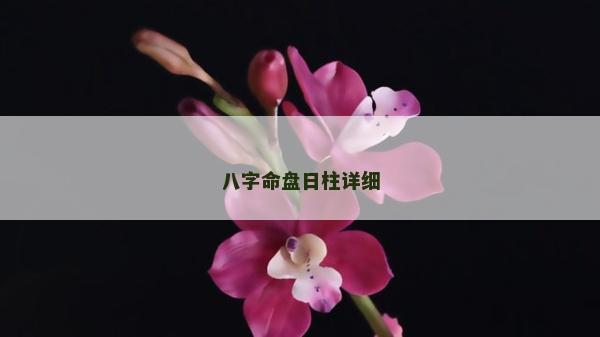 八字命盘日柱详细