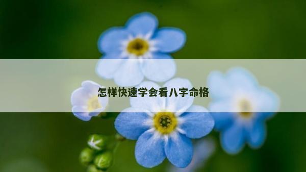 怎样快速学会看八字命格