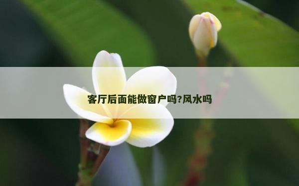 客厅后面能做窗户吗?风水吗