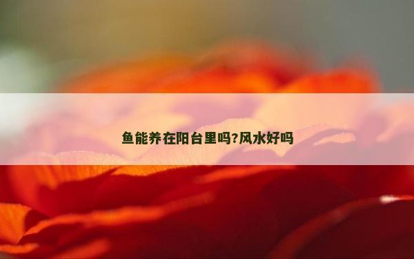 鱼能养在阳台里吗?风水好吗