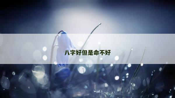 八字好但是命不好