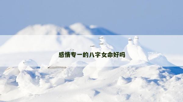 感情专一的八字女命好吗