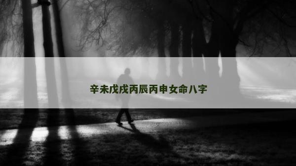 辛未戊戌丙辰丙申女命八字
