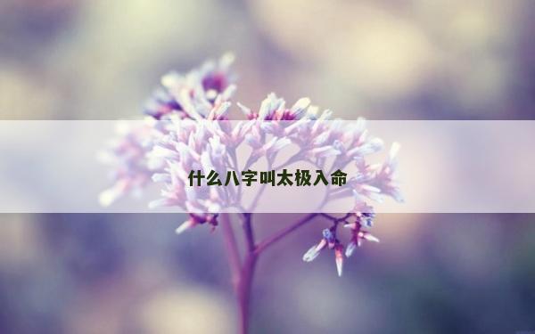 什么八字叫太极入命