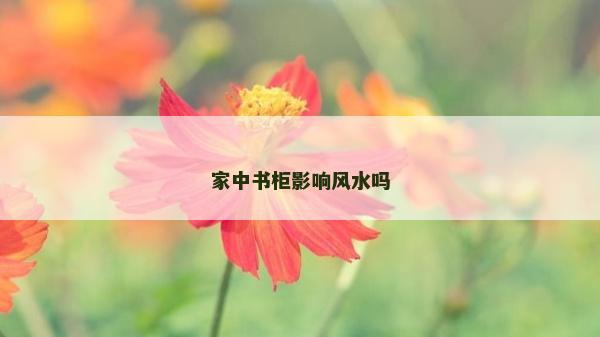 家中书柜影响风水吗
