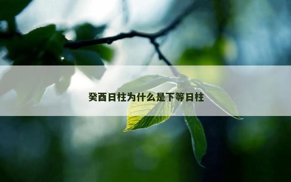 癸酉日柱为什么是下等日柱