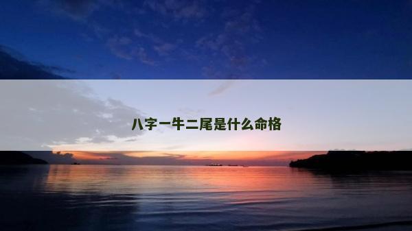 八字一牛二尾是什么命格