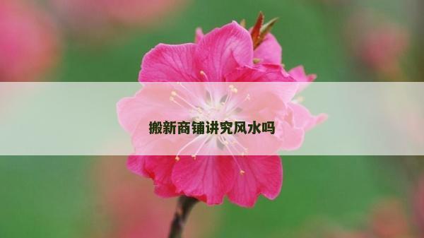 搬新商铺讲究风水吗