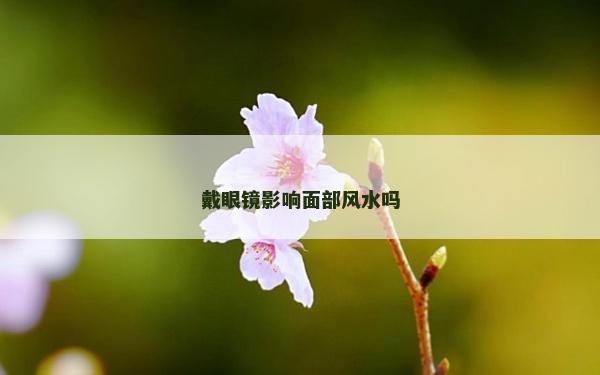 戴眼镜影响面部风水吗