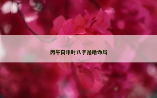 丙午日申时八字是啥命局