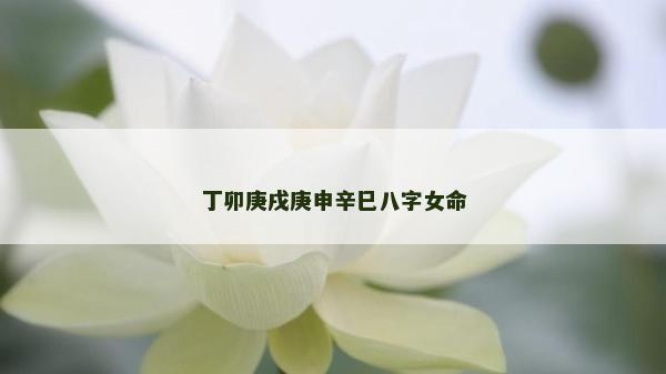 丁卯庚戌庚申辛巳八字女命