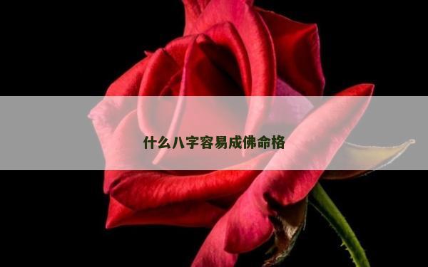 什么八字容易成佛命格