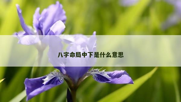 八字命局中下是什么意思