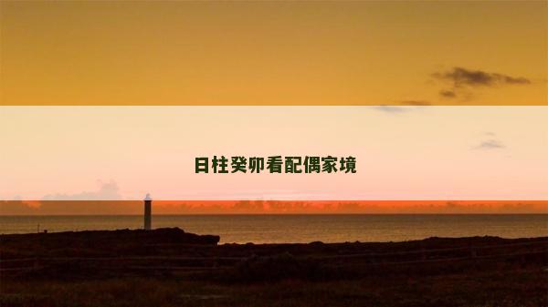 日柱癸卯看配偶家境