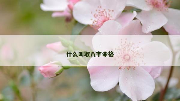 什么叫取八字命格