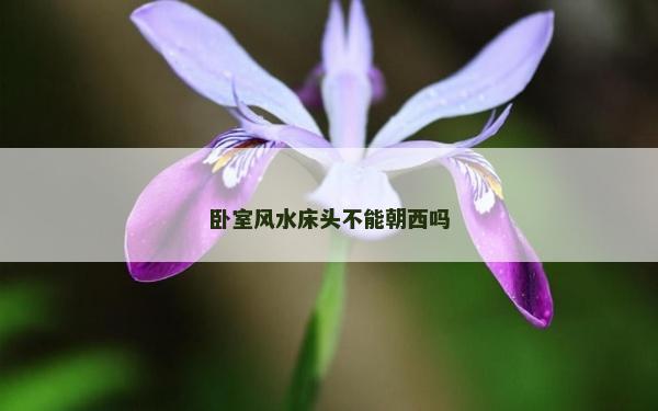 卧室风水床头不能朝西吗