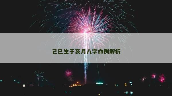 己巳生于亥月八字命例解析