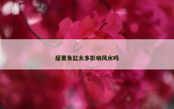屋里鱼缸太多影响风水吗
