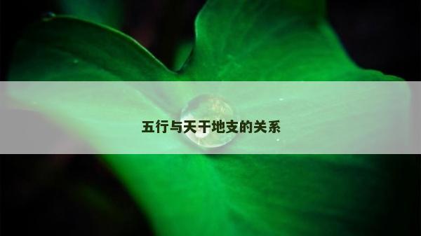 五行与天干地支的关系