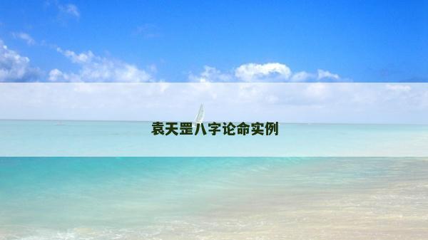袁天罡八字论命实例