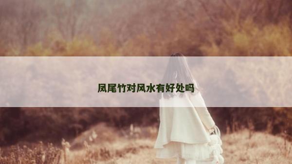 凤尾竹对风水有好处吗